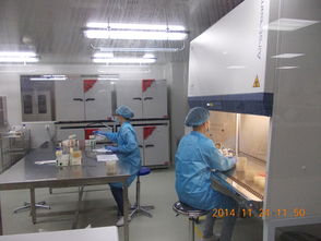 Intertek成功備案特殊食品驗(yàn)證評(píng)價(jià)技術(shù)機(jī)構(gòu)，助推行業(yè)高質(zhì)量發(fā)展